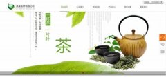 網(wǎng)站seo優(yōu)化Web前端