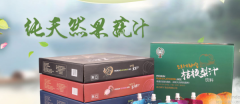 延邊樹*食品有限公司網(wǎng)站建設(shè)營(yíng)銷型案例作品