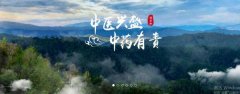 普洱淞*醫(yī)藥集團(tuán)有限公司網(wǎng)站建設(shè)新一代自助建站、智能建站系統(tǒng)