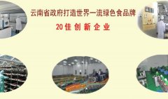 云南大理洱*實業(yè)有限公司網站建設營銷型案例作品