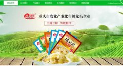 重慶市涪陵區(qū)*色食品有限公司網(wǎng)站建設營銷型案例作品