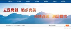 棗陽四*道普化工有限公司網站建設有創(chuàng)意的主題設計