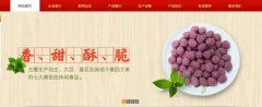 紅太*食品(榮成)有限公司制作網(wǎng)站新一代自助建站、智能建站系統(tǒng)